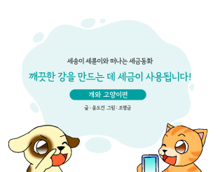 깨끗한 강을 만드는 데 세금이 사용됩니다!