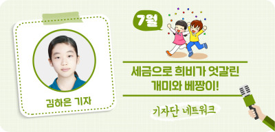 (7월) ✍ 세금으로 희비가 엇갈린 개미와 베짱이! _김하은 기자