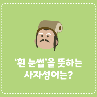 [삼국지에서 배워요!] ‘흰 눈썹’을 뜻하는 사자성어는?