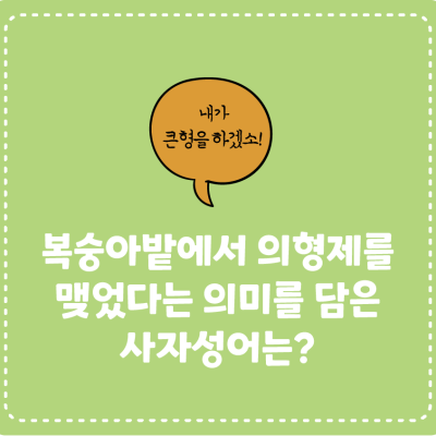[삼국지에서 배워요!] 복숭아밭에서 의형제를 맺었다는 의미를 담은 사자성어는?