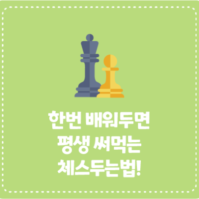 한번 배워두면 평생 써먹는 체스두는 법!!
