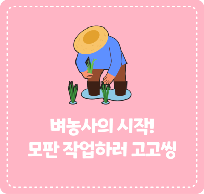벼농사의 시작! 모판 작업하러 고고씽