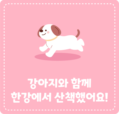 강아지와 함께 한강에서 산책했어요!